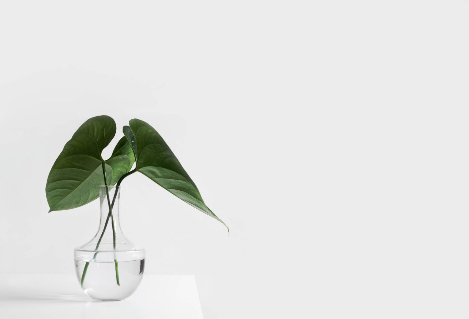 Foto von <a href="https://unsplash.com/de/@sarahdorweiler?utm_source=unsplash&utm_medium=referral&utm_content=creditCopyText">Sarah Dorweiler</a> auf <a href="https://unsplash.com/de/fotos/x2Tmfd1-SgA?utm_source=unsplash&utm_medium=referral&utm_content=creditCopyText">Unsplash</a>   